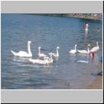 2005-07-10 - 12-10-22.JPG